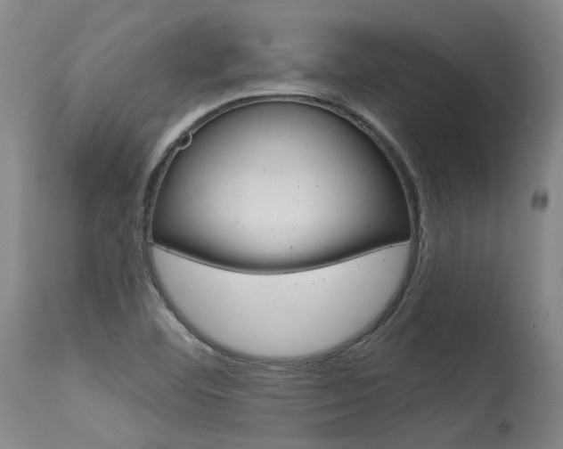 X0000115631460200911101108