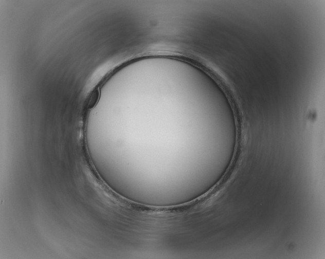 X0000115631461200911101108