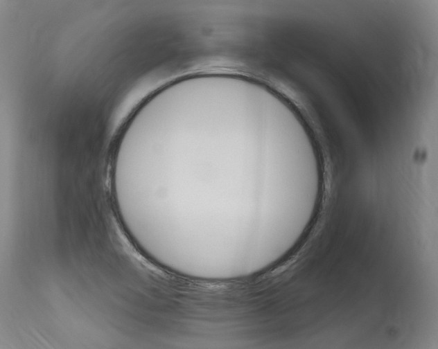 X0000115631462200911101108