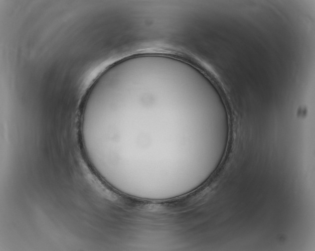 X0000115631463200911101108