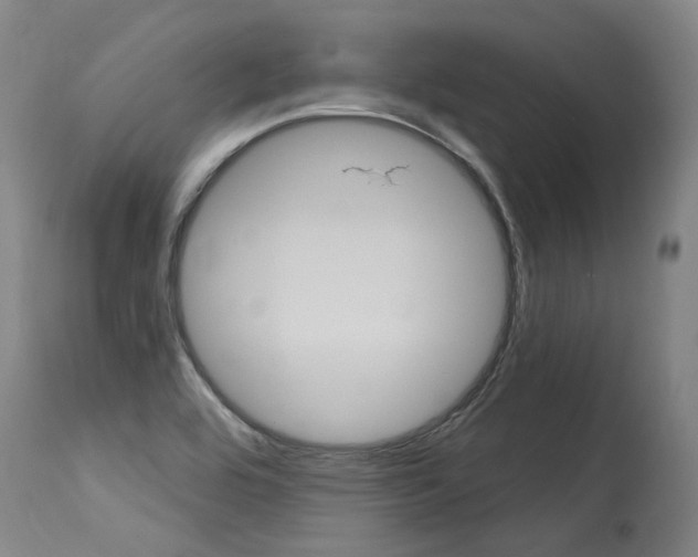 X0000115631464200911101108