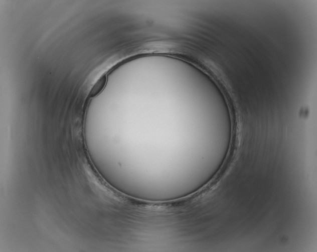 X0000115631465200911101108
