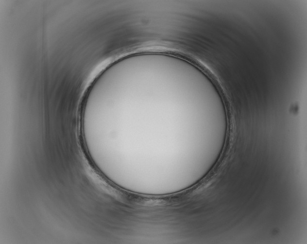 X0000115631467200911101108