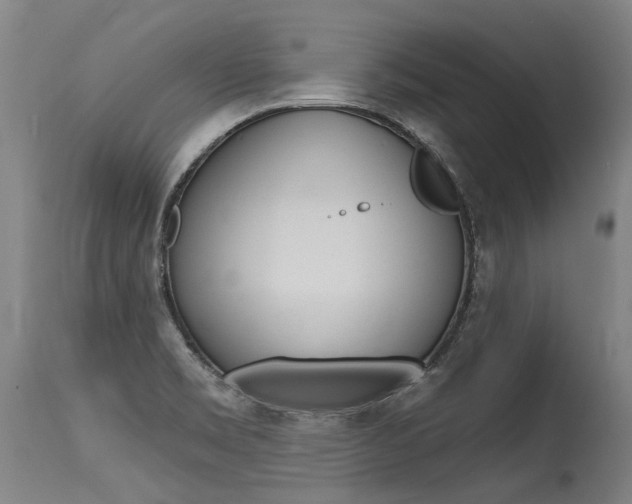 X0000115631469200911101108