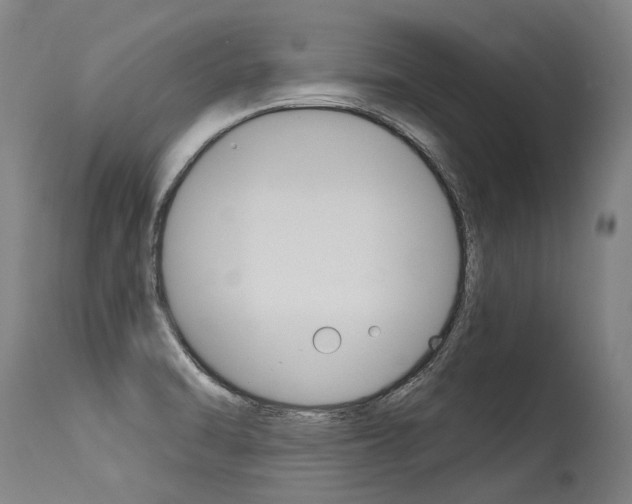 X0000115631470200911101108
