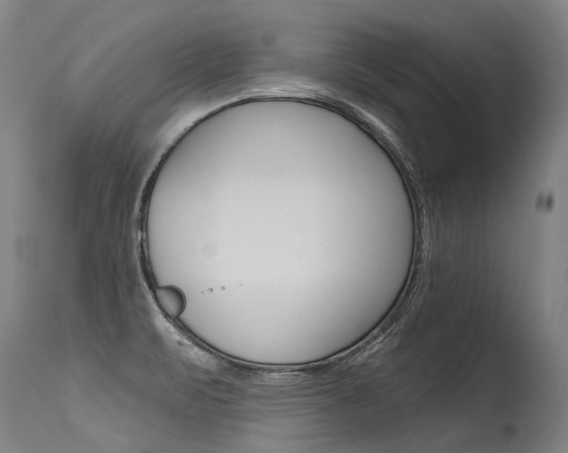 X0000115631471200911101108