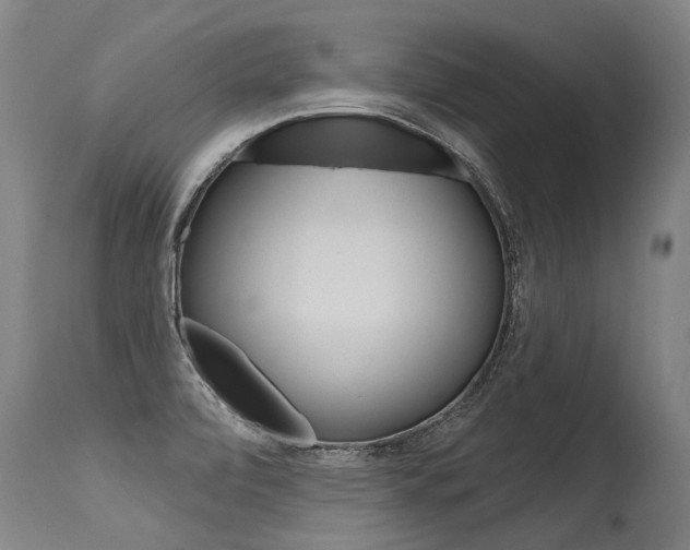 X0000115631472200911101108