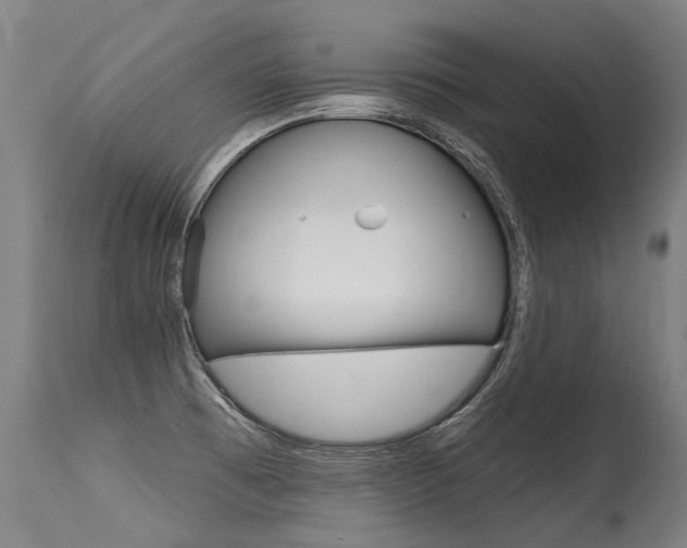 X0000115631473200911101108