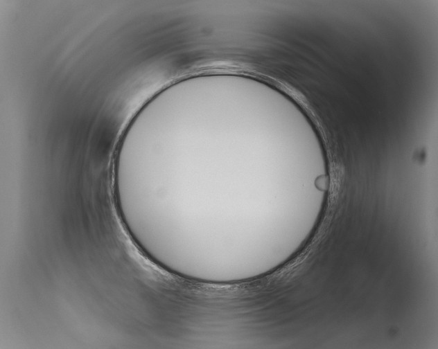 X0000115631474200911101108