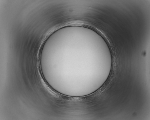 X0000115631475200911101108