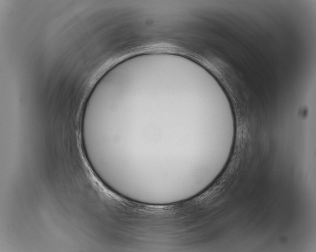 X0000115631478200911101108