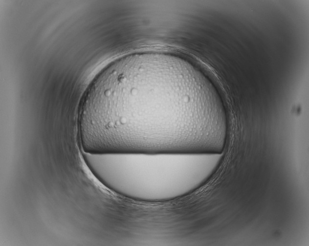 X0000115631479200911101108