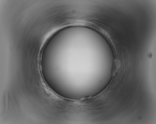 X0000115631480200911101108
