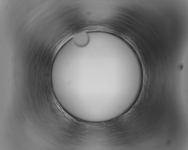 X0000115631481200911101108