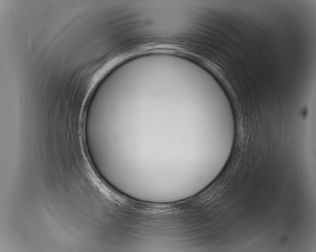 X0000115631482200911101108