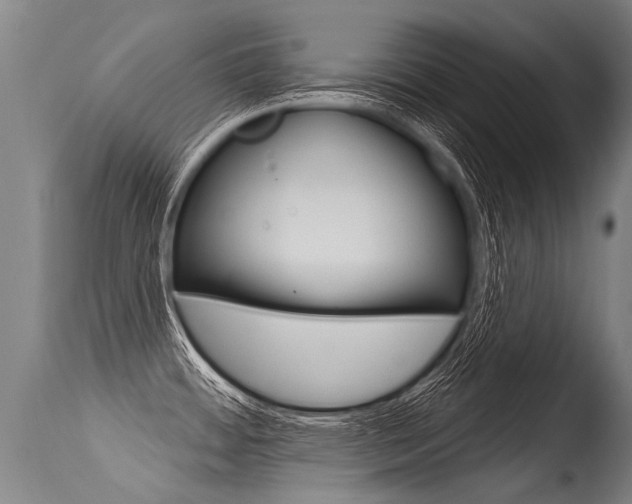 X0000115631484200911101108