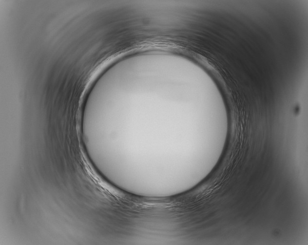 X0000115631486200911101108
