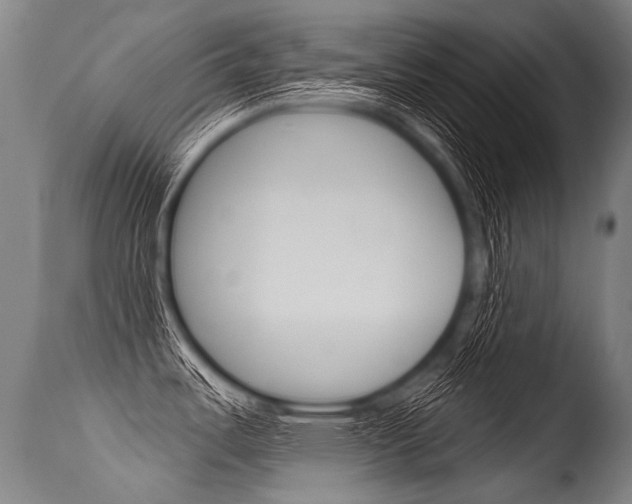 X0000115631487200911101108