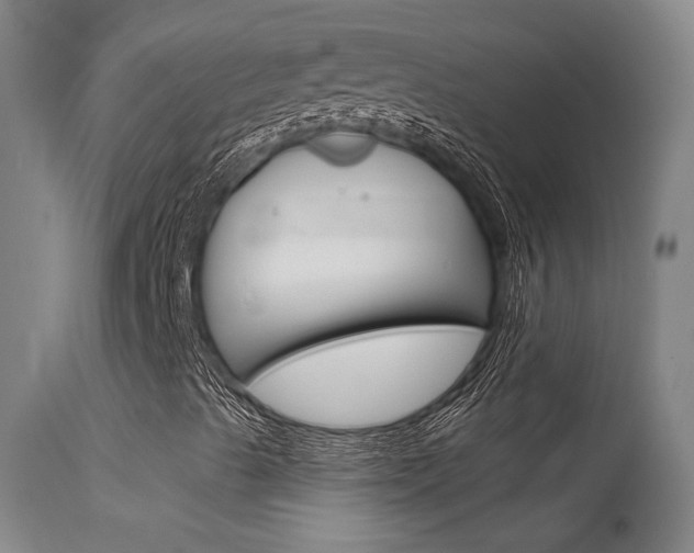 X0000115631489200911101107