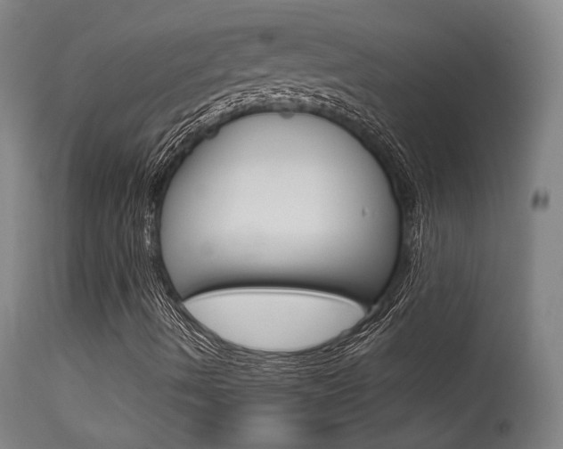 X0000115631490200911101107