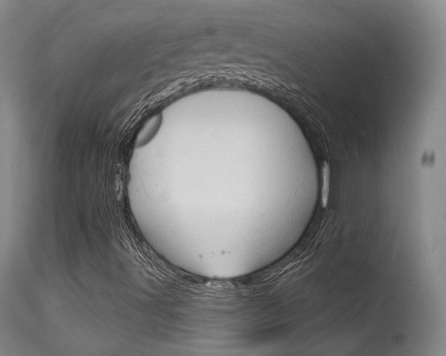 X0000115631491200911101107