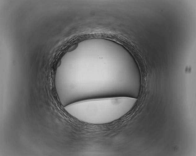 X0000115631493200911101107