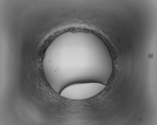 X0000115631495200911101107