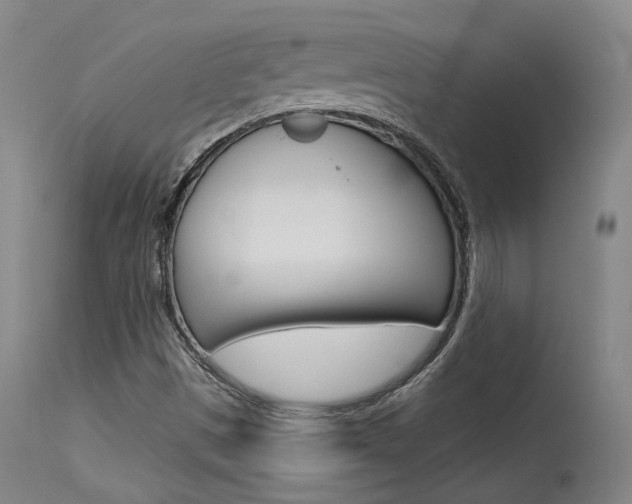 X0000115631497200911101107