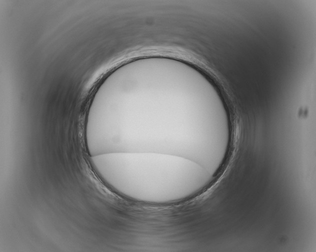 X0000115631498200911101107