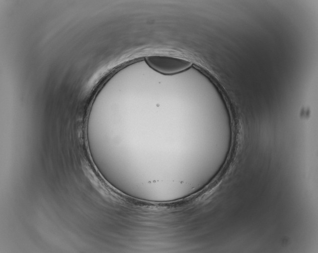 X0000115631499200911101107