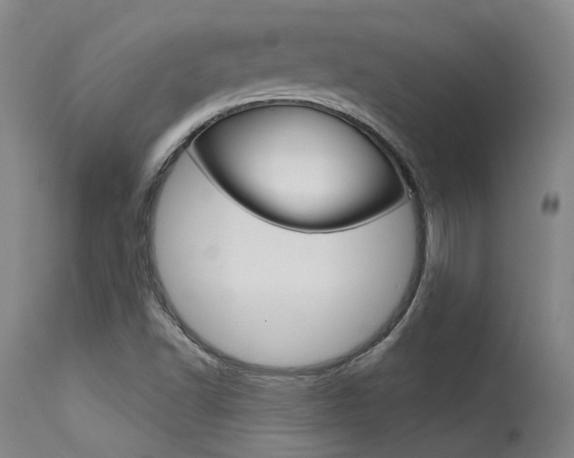 X0000115631502200911101107