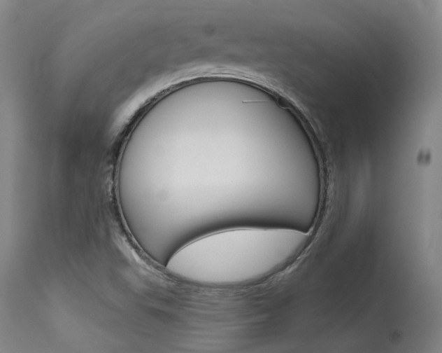 X0000115631503200911101107