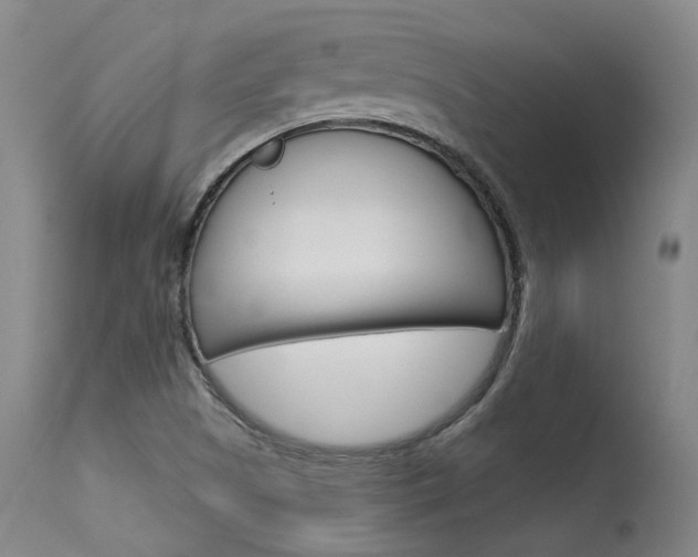 X0000115631505200911101107