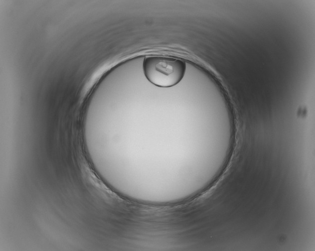 X0000115631506200911101107