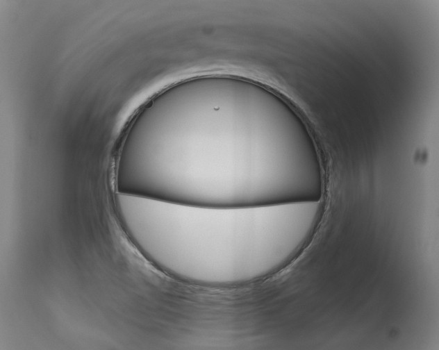 X0000115631510200911101107