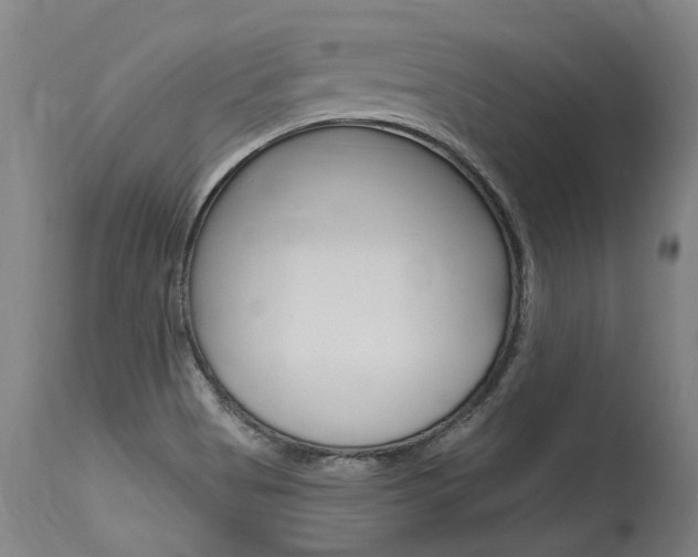 X0000115631513200911101107