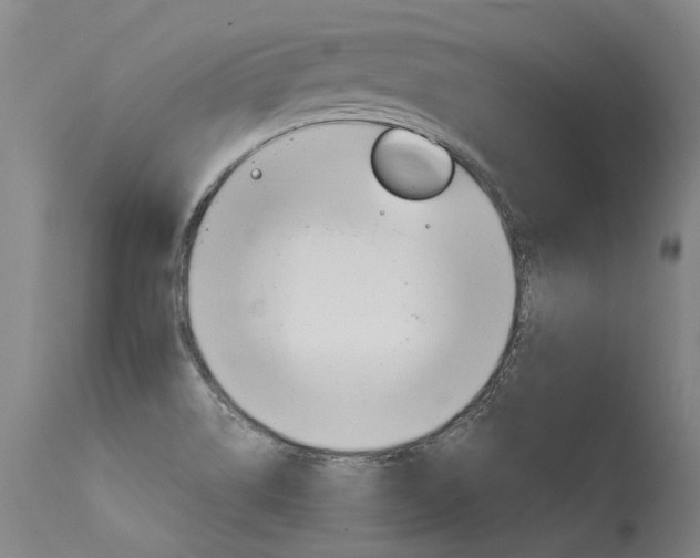X0000115631514200911101107