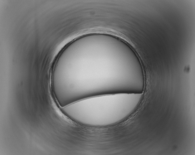 X0000115631515200911101107