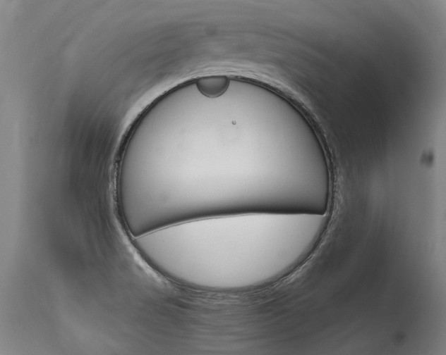 X0000115631517200911101107