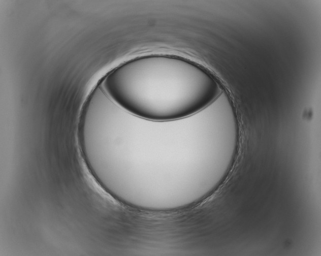 X0000115631518200911101107