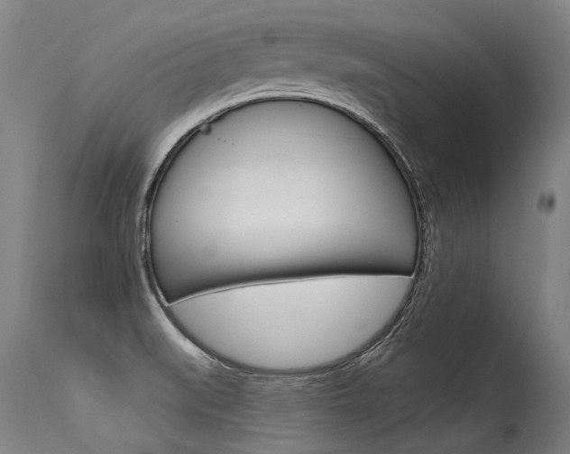 X0000115631519200911101107
