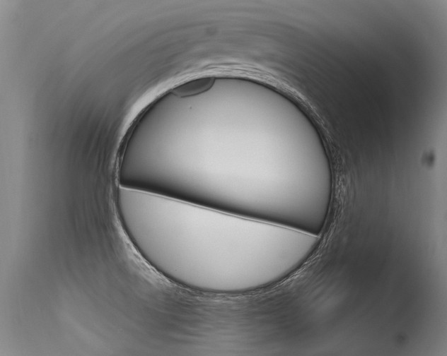 X0000115631522200911101107