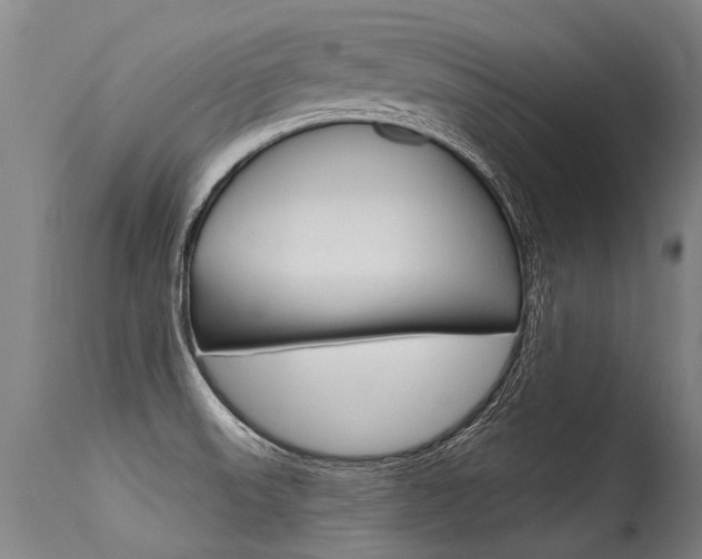 X0000115631523200911101107
