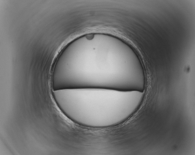 X0000115631525200911101107