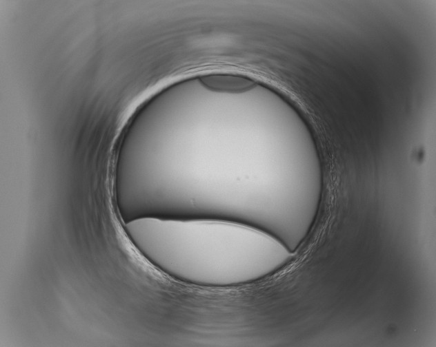 X0000115631526200911101107