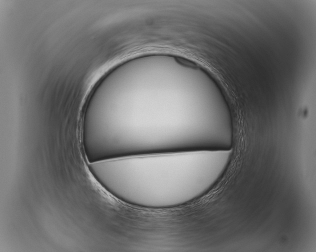 X0000115631527200911101107