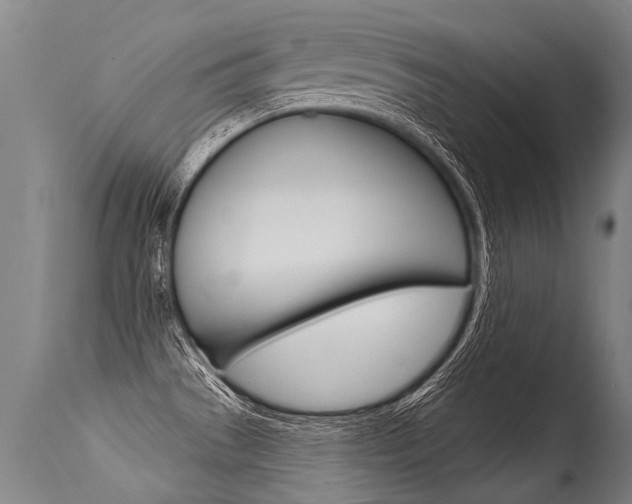X0000115631529200911101107