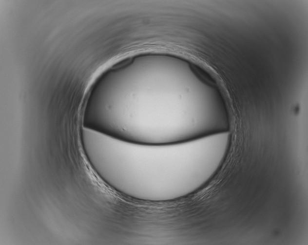 X0000115631530200911101107