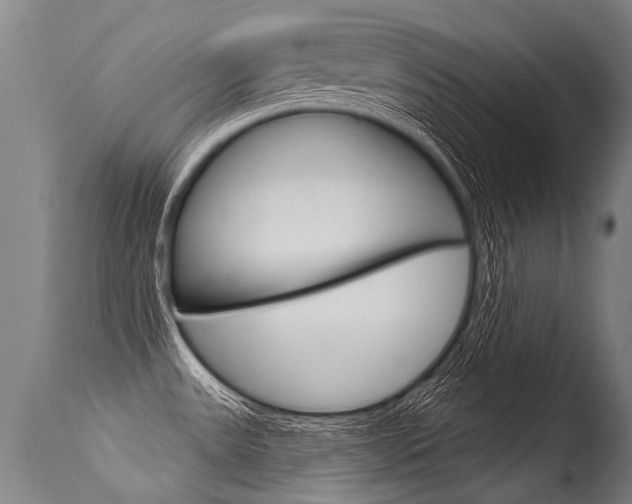 X0000115631531200911101107