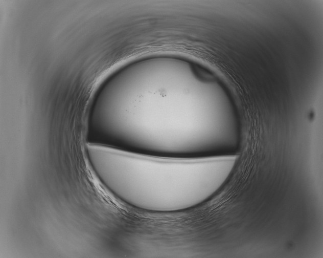 X0000115631534200911101107